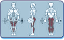 Muscles Worked by Leg Press